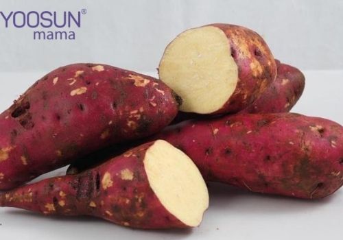 Ăn khoai lang giảm cân không