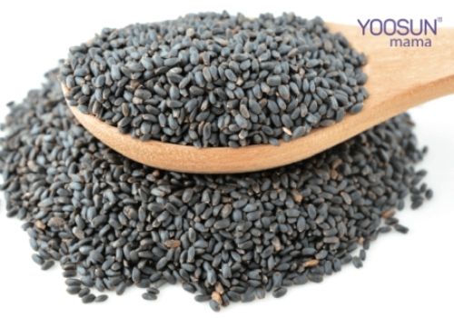 Uống hạt é có giảm cân không