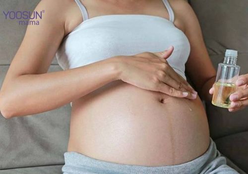 Cách trị rạn da bằng mỡ trăn