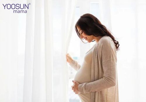 Detox giảm cân bằng trà xanh