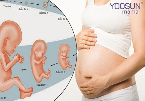 Trẻ bị suy dinh dưỡng bào thai là gì