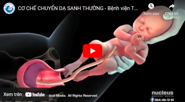Video đau đẻ có biểu hiện như thế nào