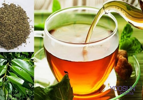 cách uống lá vối giảm cân