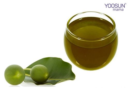 Sử dụng dầu mù u trị rạn da