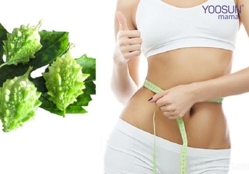 uống nước khổ qua có giảm cân không