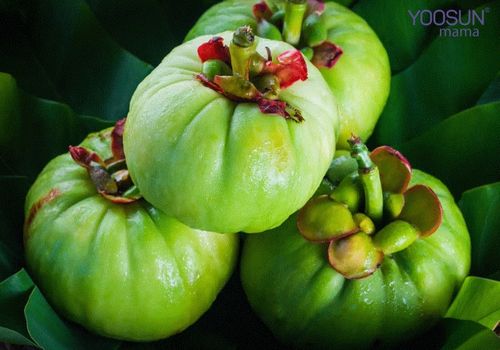 Cách giảm cân bằng quả bứa 