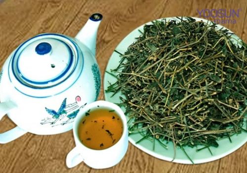 Cách giảm cân bằng thuốc nam có tốt không vậy  Cách giảm cân bằng thuốc nam có tốt không