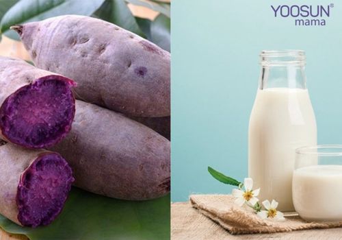 Giảm cân bằng sữa tươi k đường và khoai lang  Giảm cân bằng sữa tươi k đường