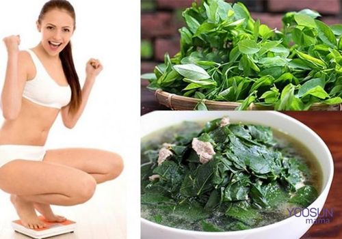 uống nước rau ngót giảm cân