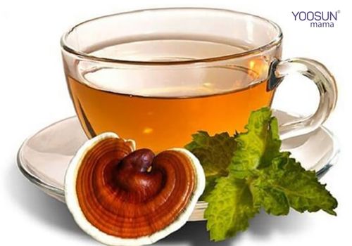 Cách giảm cân bằng nấm linh chi 