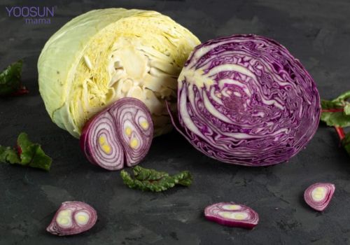 ăn bắp cải có giảm cân không