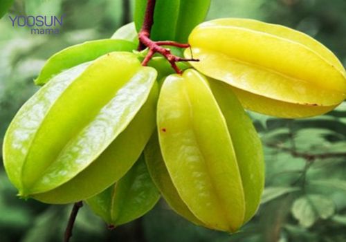 Liệu ăn khế có giảm cân không Ăn khế có giảm cân không