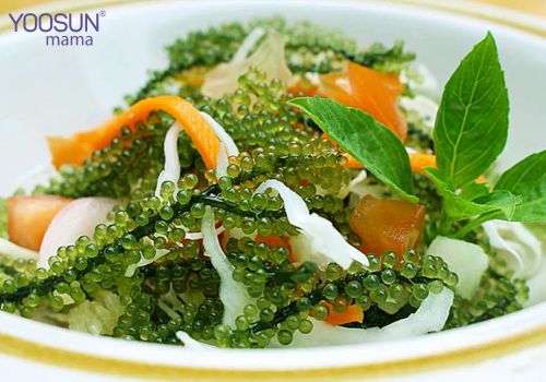 Rong nho giảm cân không