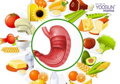 Hướng dẫn thu nhỏ dạ dày để giảm cân Thu nhỏ dạ dày để giảm cân