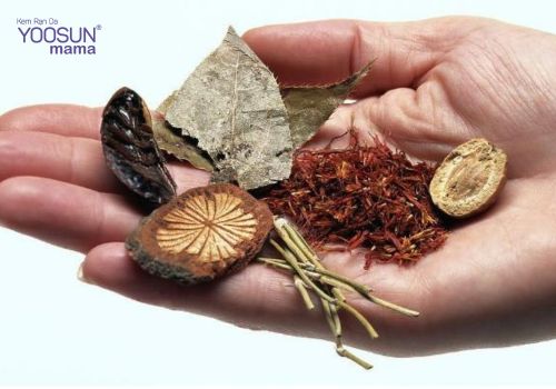 Cách dùng thuốc bắc giảm cân đẹp da  Thuốc bắc giảm cân đẹp da