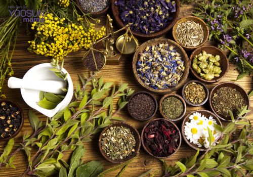 Liệu uống thuốc bắc có giảm cân không Uống thuốc bắc có giảm cân không