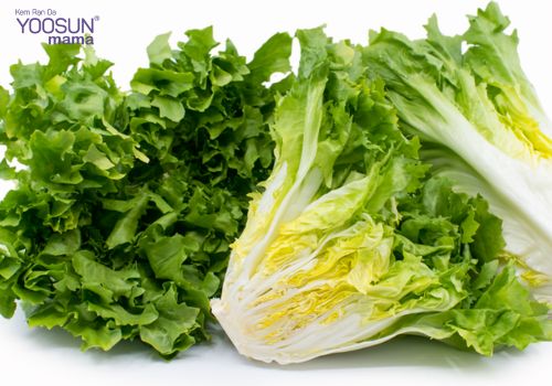 Hướng dẫn cách làm các món xà lách giảm cân cách làm các món xà lách giảm cân