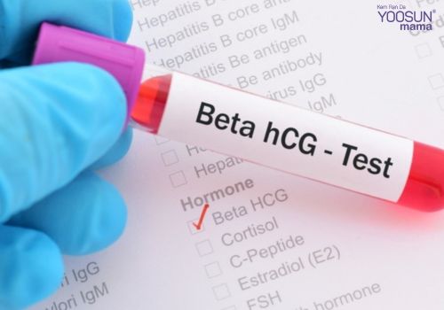 Test que thử thai bằng cà chua