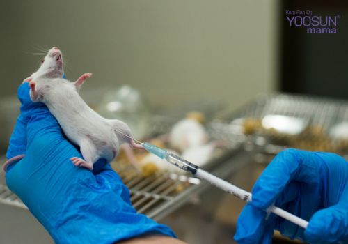 Thử thai bằng kim có chính xác không