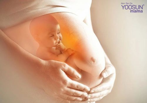 Có nên tiêm phòng trước khi mang bầu không