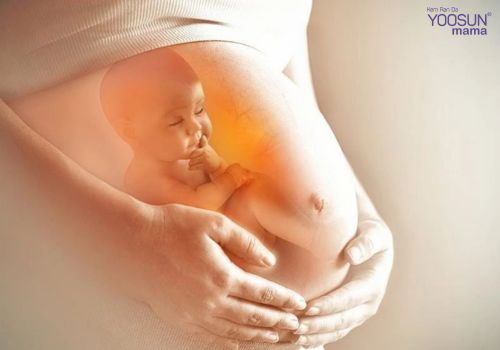 Mẹ không nghén con kém thông minh không