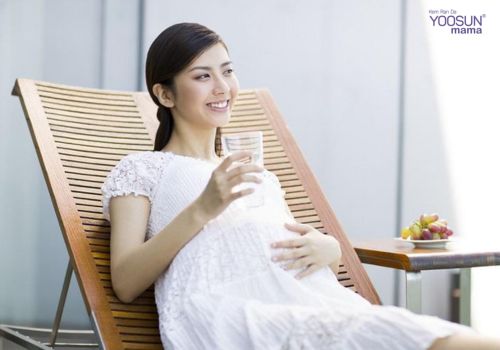 Bầu nghén nước lọc