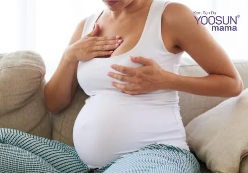 đau vú khi mang bầu